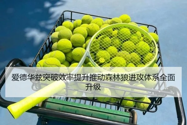 爱德华兹突破效率提升推动森林狼进攻体系全面升级